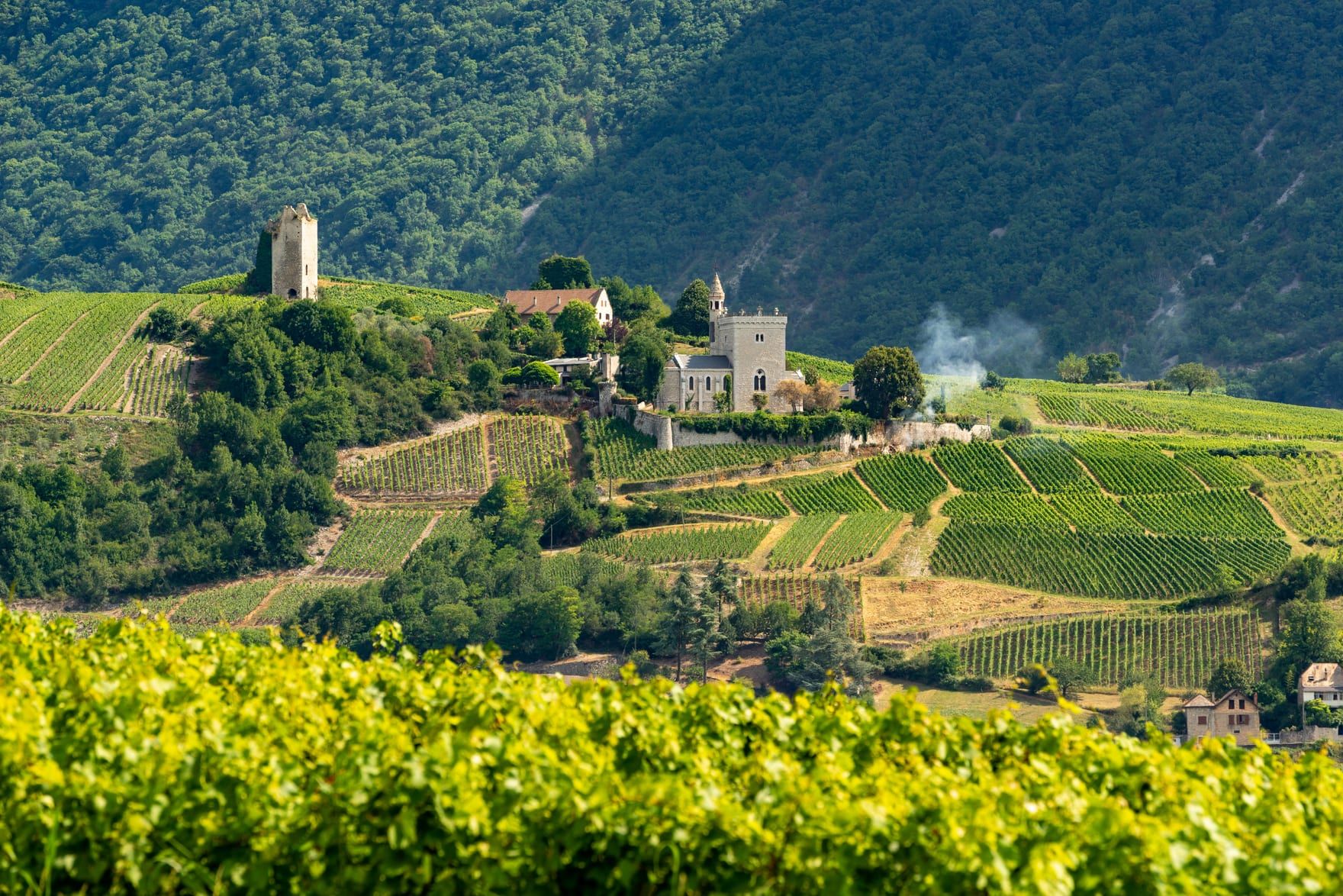Vignobles et château de Savoie, au-dessus du lac du Bourget